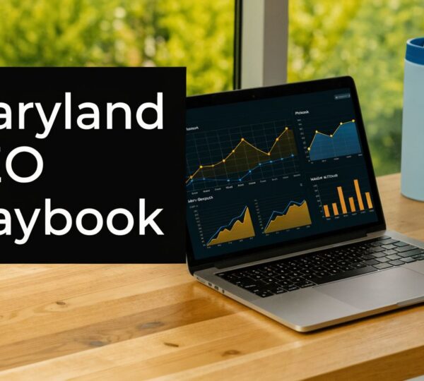 cleaning-service-seo-seo-analytics