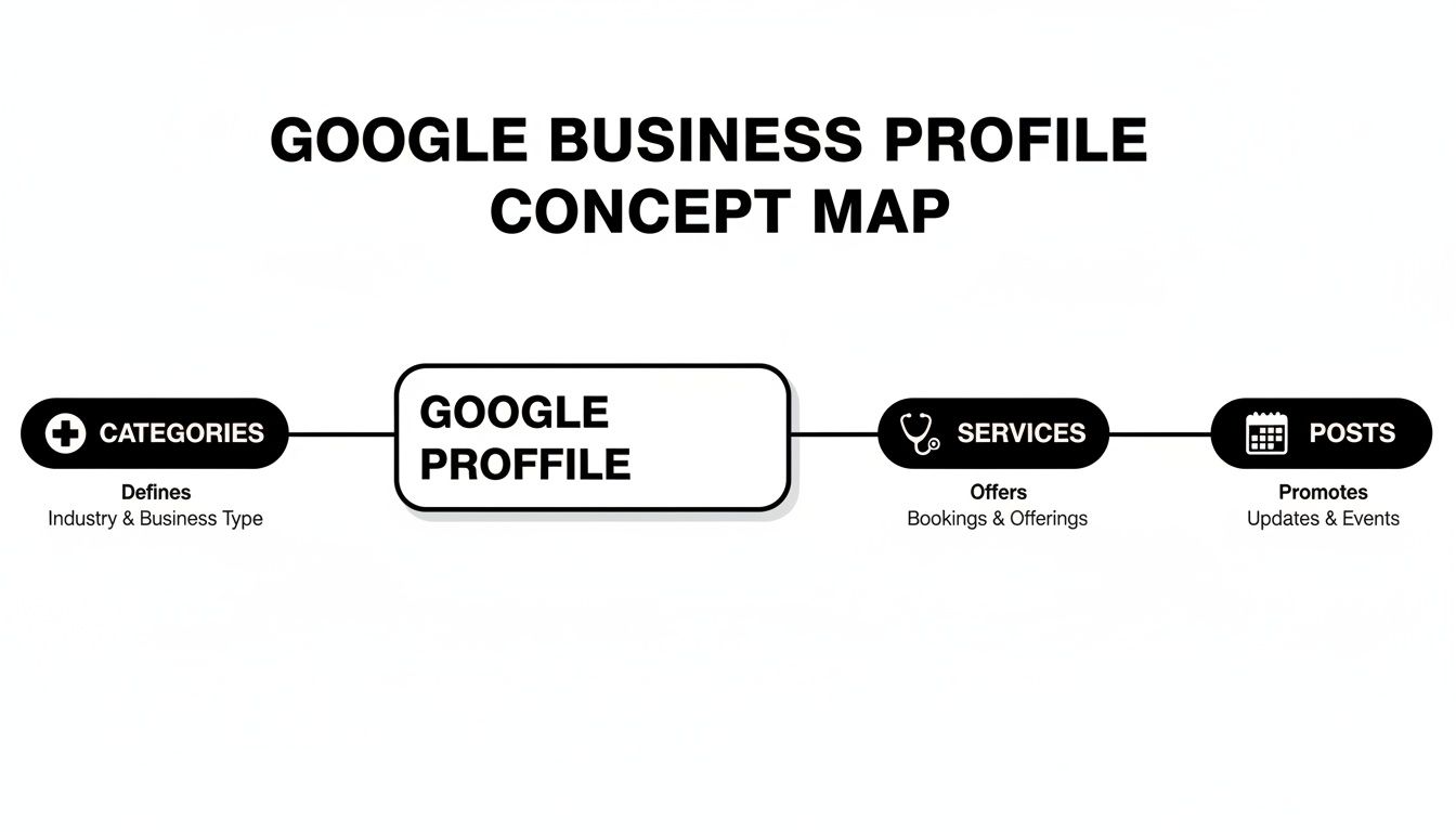 A concept map for local SEO showing Google Business Profile connected to categories, services, and posts with descriptions.