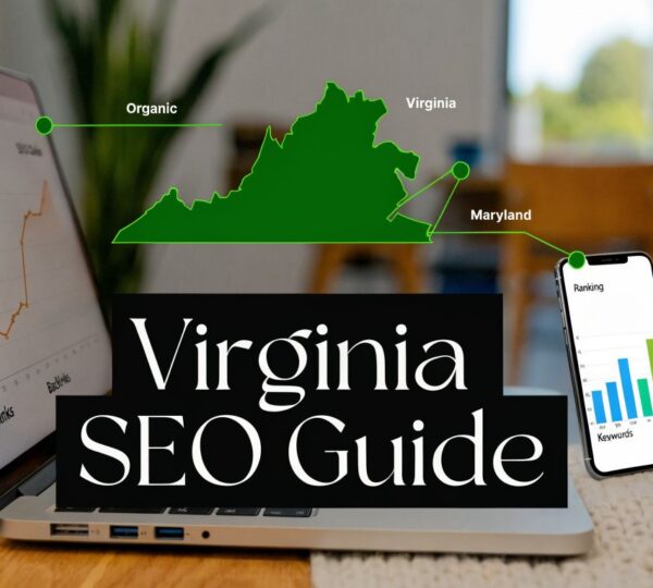 virginia-search-engine-optimization-seo-analysis